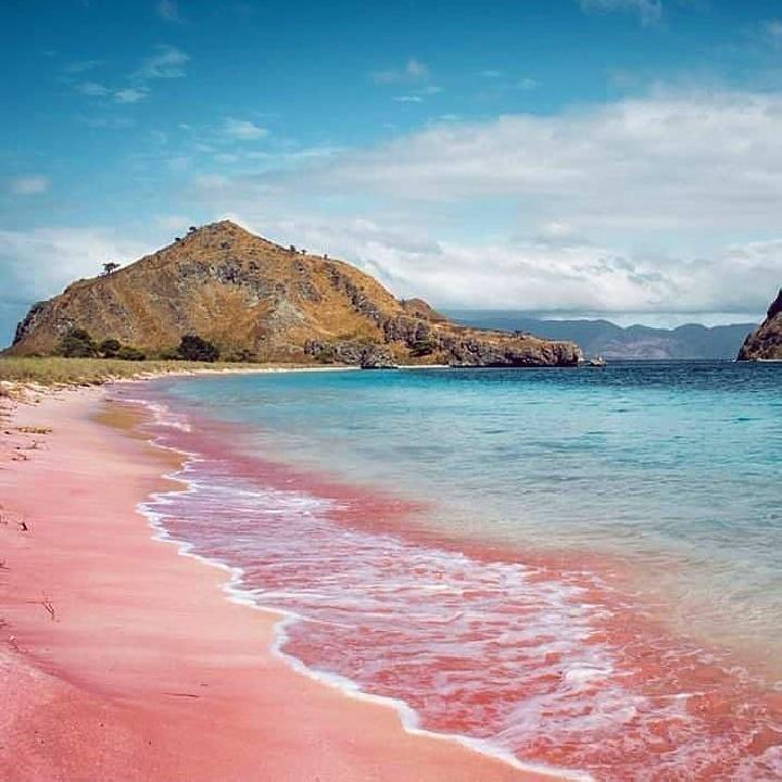 Pantai Pink Labuan Bajo, Permata Langka di Ujung Flores