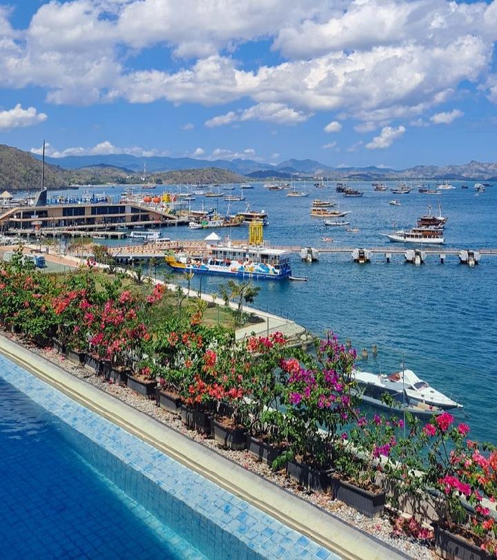 Labuan Bajo, Dari Kampung Nelayan Menjadi Destinasi Kelas Dunia