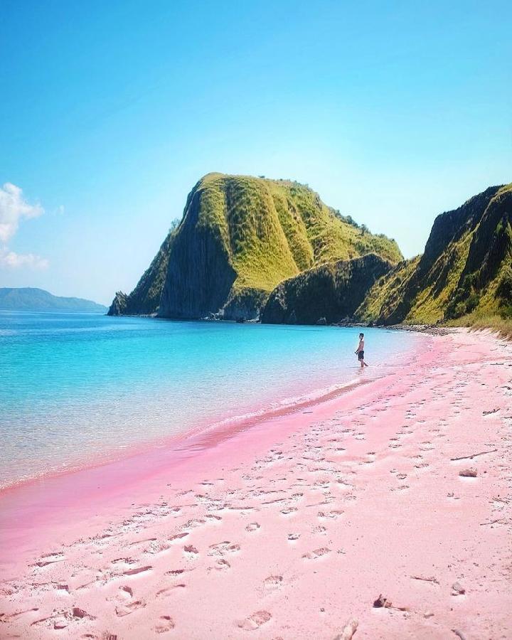 Pantai Pink, Simbol Romantika Alam Labuan Bajo