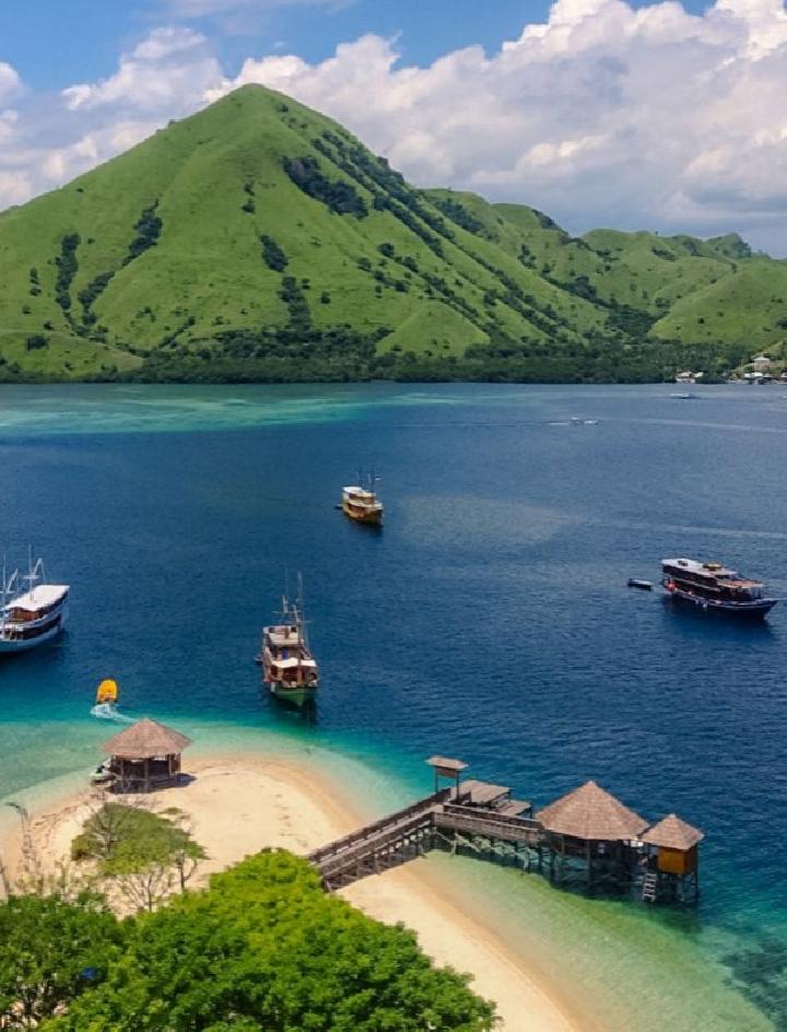 Demi Kenyamanan Wisatawan, Pemkab Mabar Tertibkan Sapi Berkeliaran di Labuan Bajo